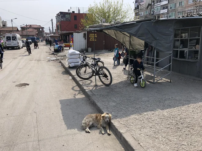 Nerešljiva težava je, kaj narediti z otroki, ki s starši odidejo v tujino. Nekateri se vrnejo čez pol leta, nekateri čez leto, dve, tri … FOTO: Aljaž Vrabec