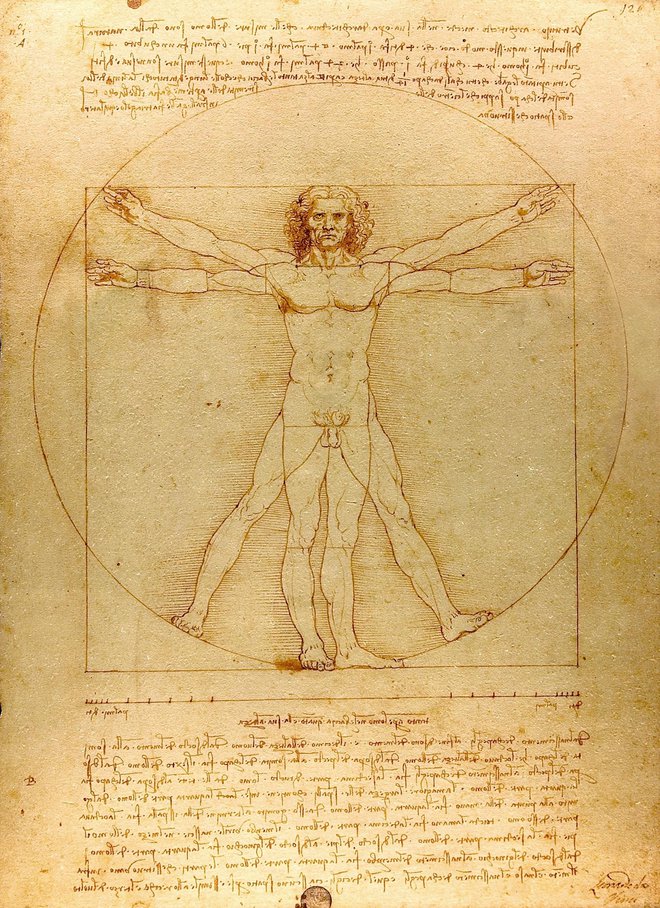 Vitruvijski človek Leonarda da Vincija iz časa okoli leta 1485 je še danes najprepoznavnejša vizualizacija idealnih proporcev človeške figure. FOTO: Wikipedia