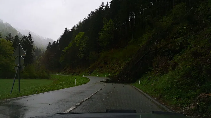 Fotografija: Promet je oviralo podrto drevo. FOTO: FB Radar Kranj z okolico