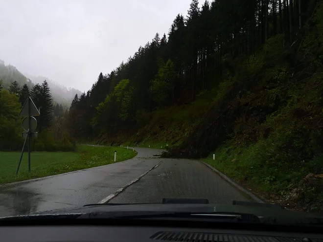 Promet je oviralo podrto drevo. FOTO: FB Radar Kranj z okolico