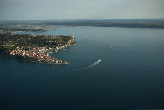 Piran še pride na svoje. Foto Jure Eržen
