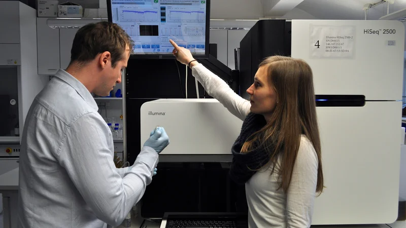 Skupina slovenskih in tujih raziskovalcev je v eni vodilnih znanstvenih revij s področja molekularne biologije Molecular Cell opisala celično regulatorno mrežo, ki razloži prve razvojne dogodke, ki vodijo v učinkovito diferenciacijo matičnih celic in razvoja zarodka. FOTO: IJS