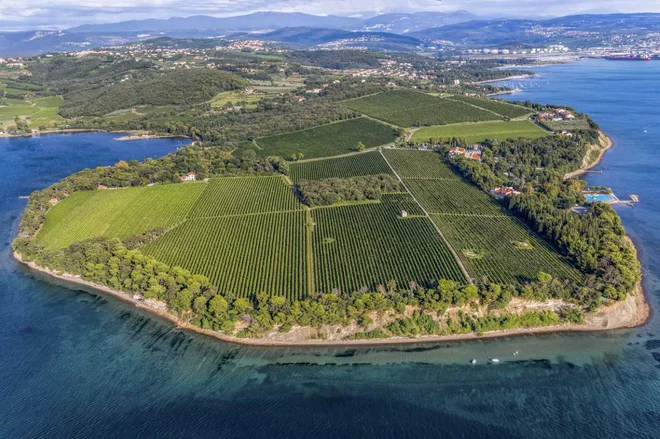 Ankaranska občina hoče zaščititi zelene površine in preprečiti pretirano pozidavo, ki so jo načrtovali, ko je bila še del koprske občine. FOTO: arhiv občine Ankaran