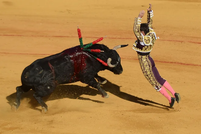 Foto Cristina Quicler Afp