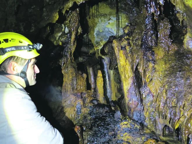 Na novo odkrita dvorana je polna edinstvenih limonitnih kapniških struktur, stalaktitov, stalagmitov, zaves in cevkastih špagetov. FOTO: Bojan Rajšek/Delo