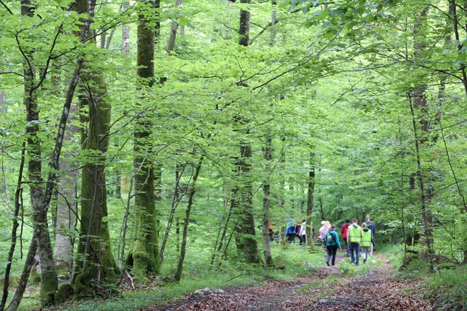 Območje sprehoda je večinoma v Naturi 2000. Foto Simona Fajfar