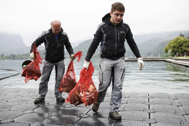 Med 15 prostovoljci je bila polovica potapljačev. FOTO: Uroš Hočevar/Delo