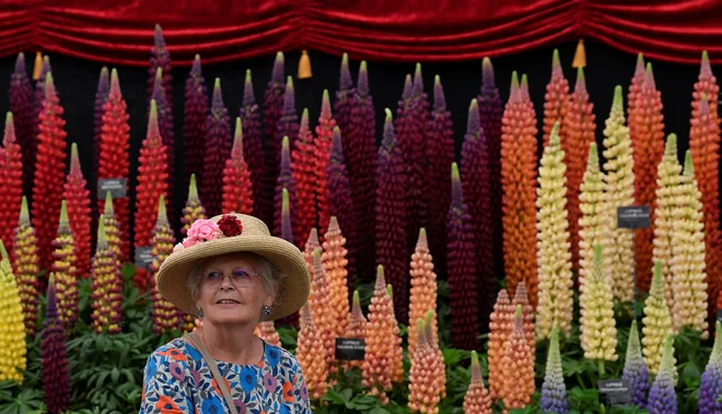 Foto Toby Melville Reuters