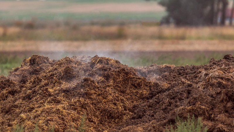 Fotografija: Gnoj je lahko okoljsko nevaren, še posebej kadar je odložen pozimi, v obdobju mirovanja rastlin,če so količine nesorazmerno velike ali če je odložen na nekmetijske površine. FOTO: Shutterstock