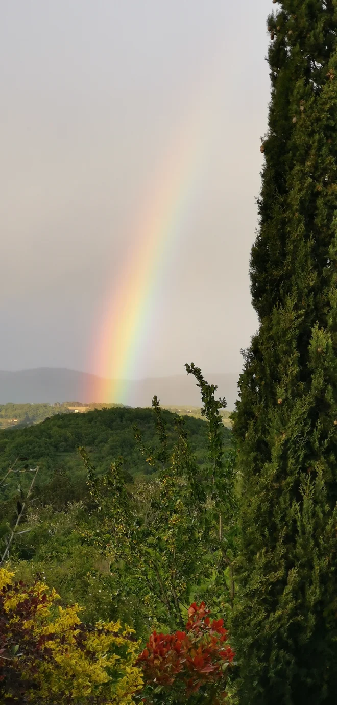 Če ti ukradejo poletje in pustijo mavrico. Foto Boris Šuligoj