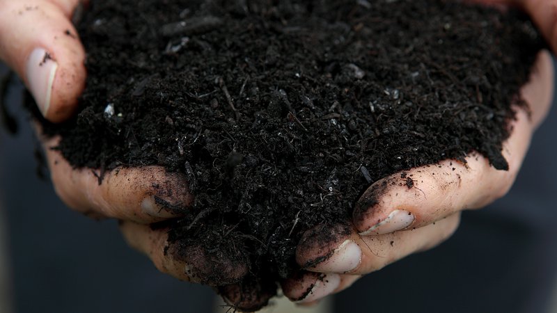 Fotografija: Človeški kompost lahko nato uporabijo na vrtu ali za sajenje rož. FOTO: Justin Sullivan/AFP