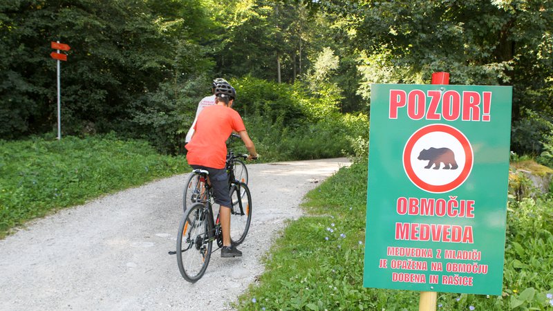Fotografija: Dajmo najprej besedo tistim, ki so sprožili in dosegli sodno odločbo o neizvajanju odstrela določenega števila medvedje in volčje populacije v Sloveniji. Foto Marko Feist