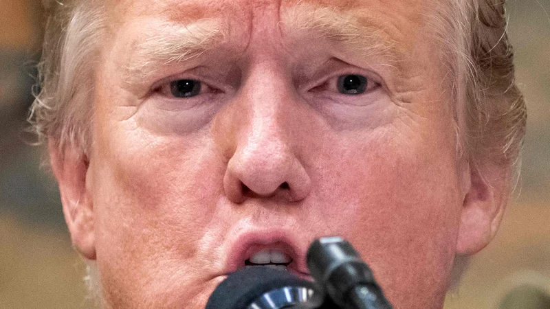 Fotografija: Ameriški predsednik Donald Trump med nedavnim nastopom. FOTO: AFP