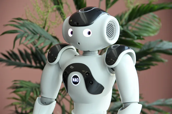 Strašenje s Kitajcem je zamenjalo strašenje z robotom. FOTO: Celjski sejem