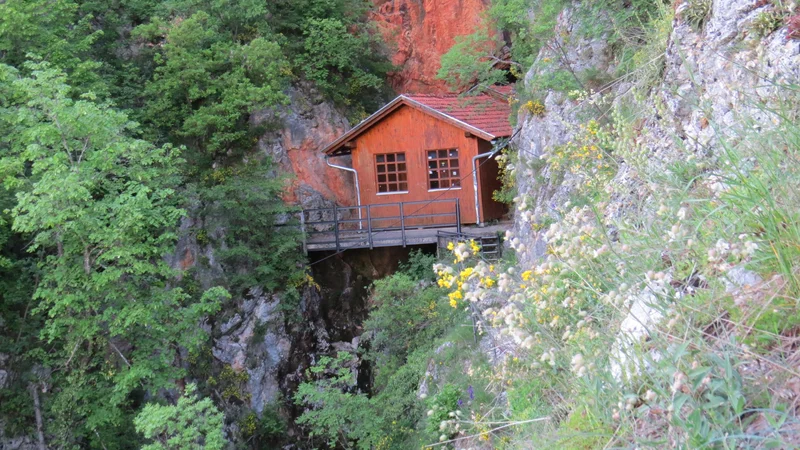 Fotografija: Pot do nekdanje Titove barake je bila zaprta, saj se je pred dvema mesecema zrušilo kamenje na streho lesenjače. FOTO: Bojan Rajšek/Delo