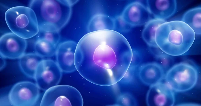 Večina ljudi z ustreznim življenjskim ravnovesjem z lahkoto doseže tudi pH-ravnovesje v krvi in drugih telesnih tekočinah. FOTO: Shutterstock