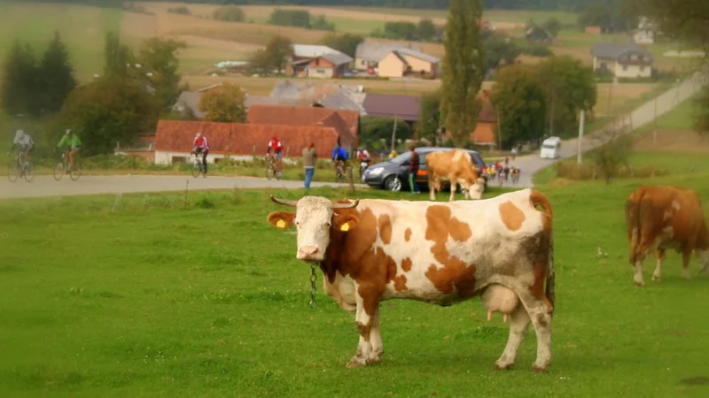 Fotografija: ni podpisa