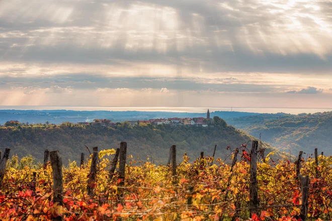 Padna. FOTO: Jaka Ivančič