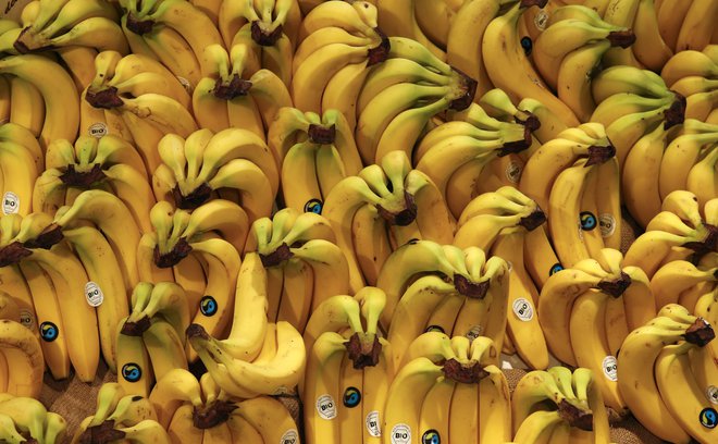 Ekološko pridelane banane na tržnici v Berlinu. Foto Fabrizio Bensch/Reuters