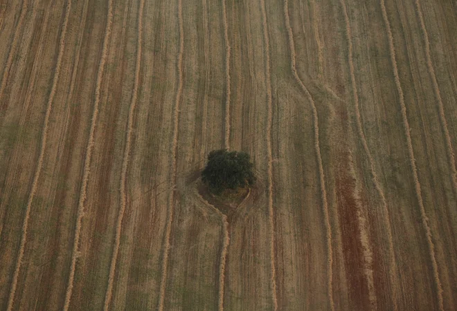 Kot pravi pisatelj, je odnos glavnega junaka romana Leve do zemlje živalski. Zanj zemlja ni stvar izbire: je del njegovega telesa. Foto Reuters
