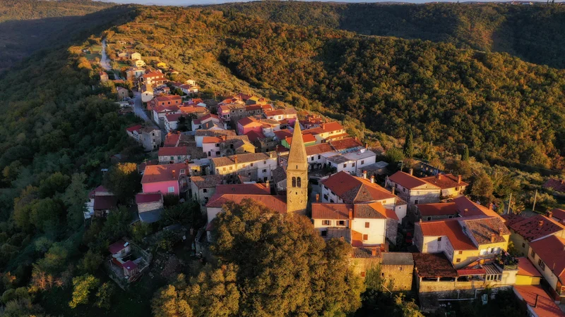 Fotografija: Padna leži na vzpetini Šavrinskega gričevja. Foto Jaka Ivančič