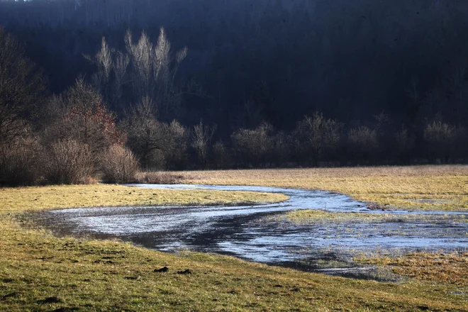 Naraščale bodo kraške reke ter reki Mura in Drava. FOTO: Mavric Pivk/Delo