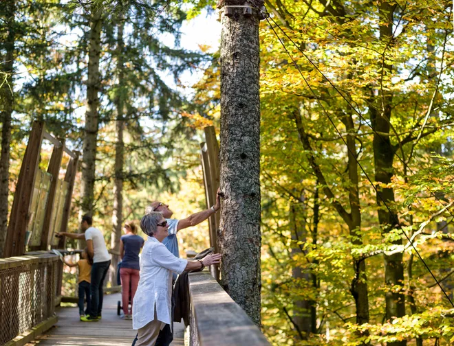 Poti med krošnjami, ki jih podjetje že ima po Evropi, so dobro sprejete, lani so našteli 2,2 milijona obiskovalcev. FOTO: arhiv ZAK