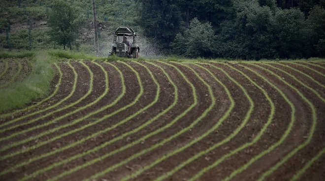 Posamezna pravna ali fizična oseba bo v dolgoročnem zakupu lahko imela največ sto hektarov zemljišč v lasti sklada kmetijskih zemljišč. FOTO: Blaž Samec