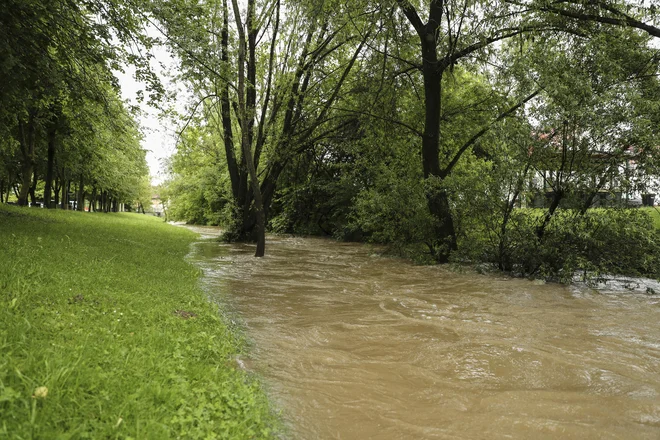 Narasle vode potoka Pšata v Mengšu. FOTO: Uroš Hočevar/Delo