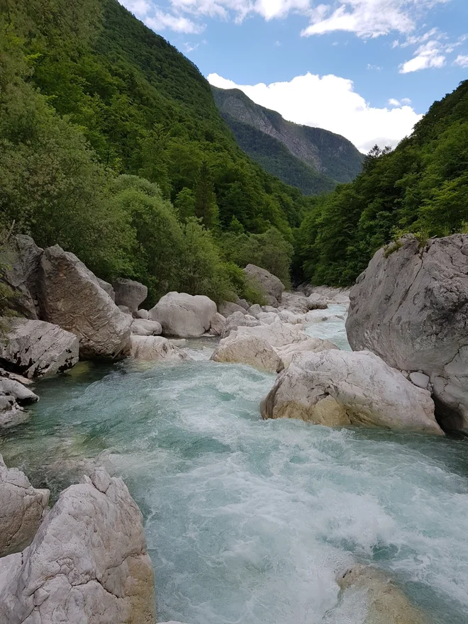 Teren na območju soteske Koritnice je zelo strm in nevaren.  FOTO: Pu Nova Gorica