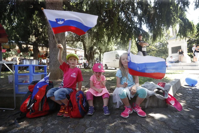 Ob trasi Gira je bilo lepo videti številne slovenske zastave. FOTO: Leon Vidic/Delo