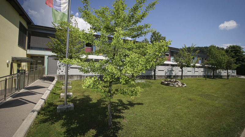 Fotografija: Drevesa ob OŠ Polhov Gradec so sadili med drugim s finskim, francoskim in turškim veleposlanikom, pred šolo pa so ustvarili celo alejo češenj. Foto Jože Suhadolnik