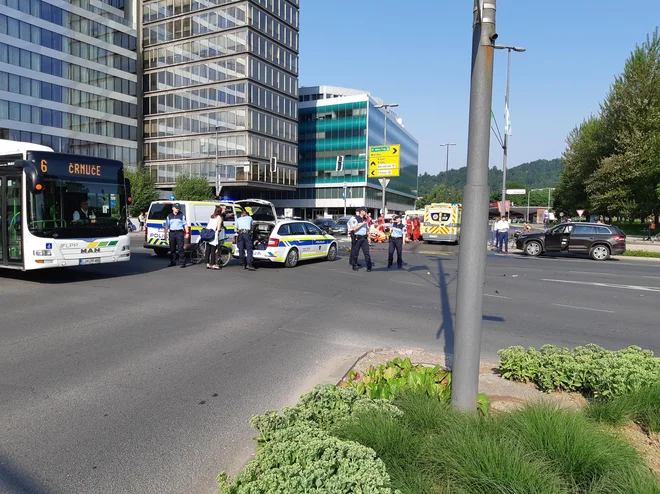 Motorist je huje poškodovan. FOTO: Toni Tratnjek