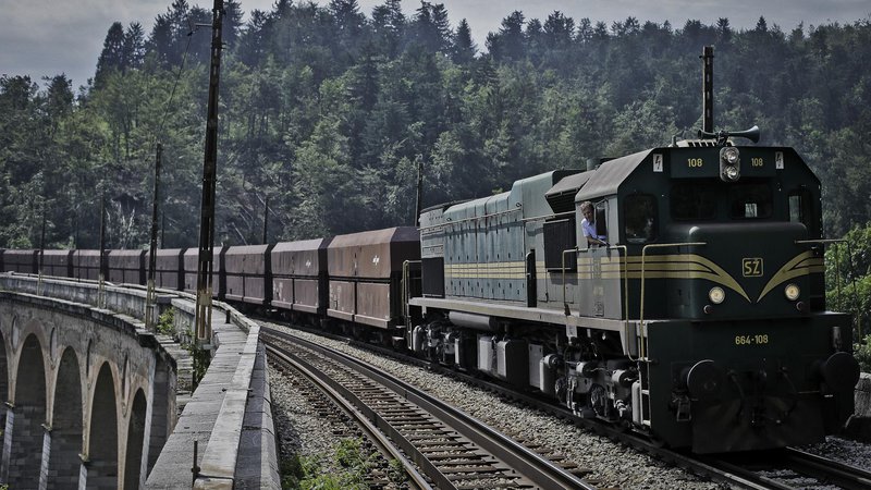 Fotografija: Železnica je ključna hrbtenica čistega prometa. FOTO: Jože Suhadolnik/Delo
