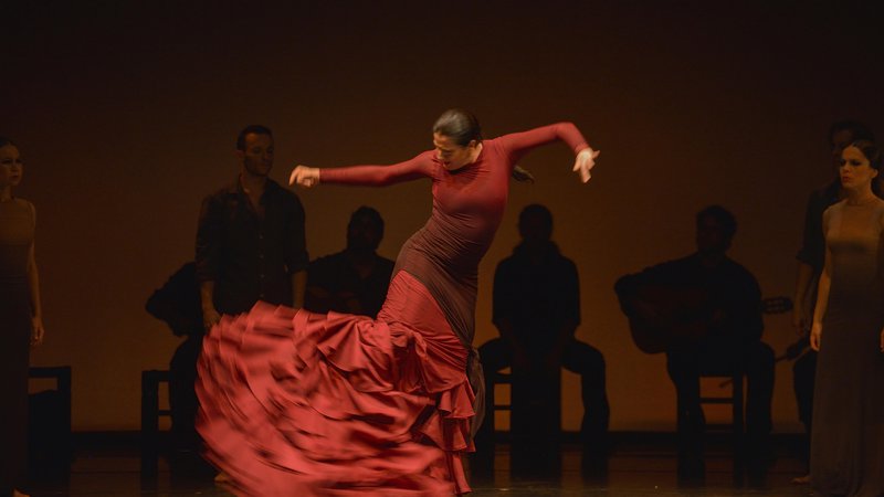Fotografija: Koreografije in ples kraljice flamenka začarajo gledalca. Foto arhiv Festivala Ljubljana