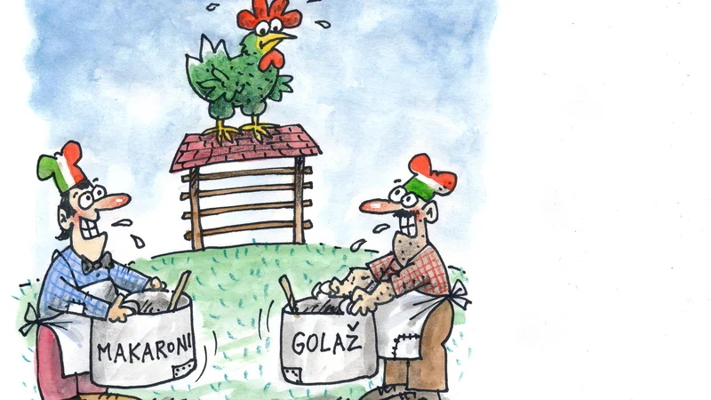 Fotografija: Karikatura: Marko Kočevar