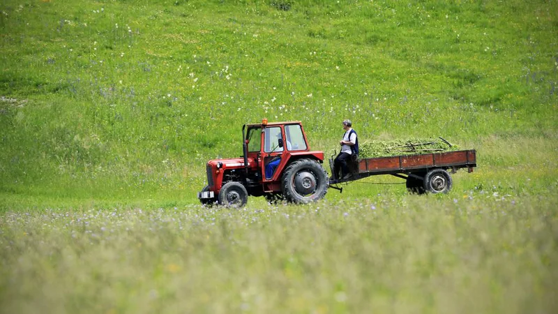 Fotografija: Fotografija je simbolična. FOTO: Leon Vidic/delo