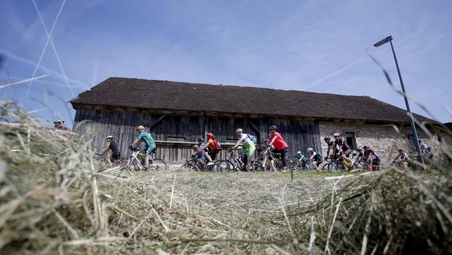 Maraton Franja, Barjanka ob podpeškem jezeru. FOTO: Roman Šipić/Delo