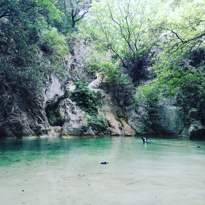 Hanin štirinožni ljubljenček Pan se je takole osvežil na začetku poti v Rabcu. FOTO: osebni arhiv