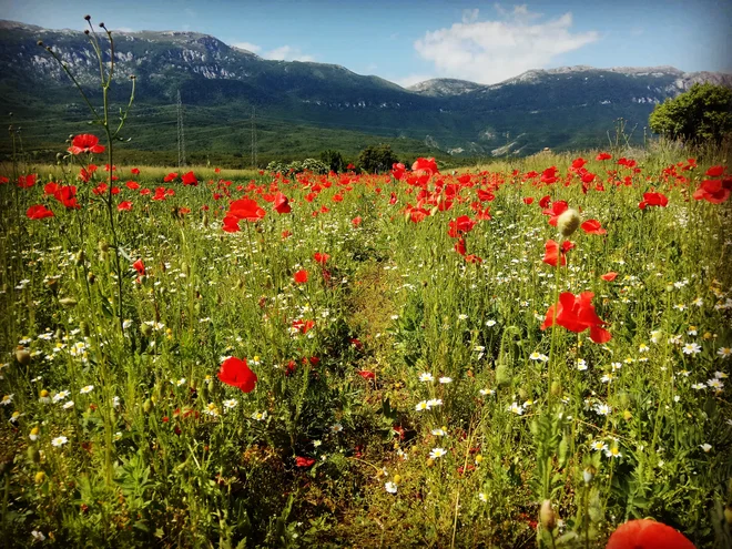 »Vse mine, predihaš, vse se postavi v ravnovesje,« si je med kriznimi trenutki ponavljala Kočevka. In posijalo je sonce. FOTO: osebni arhiv