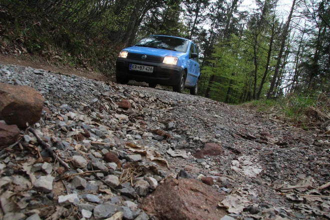 Tla so se danes rahlo zatresla v Polhovem Gradcu in v Žireh. FOTO: Špela Ankele/Delo