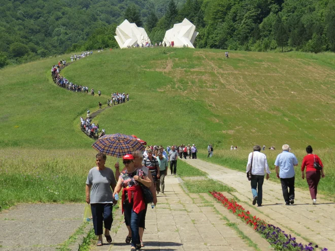 Kolona pripadnikov srbske in črnogorske nacionalnosti. FOTO: Bojan Rajšek/Delo