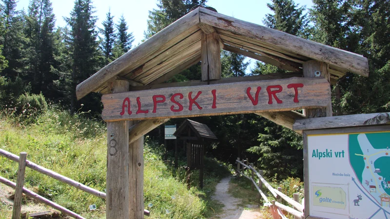 Fotografija: Začetek poti v alpkskem vrtu. FOTO: Brane Piano