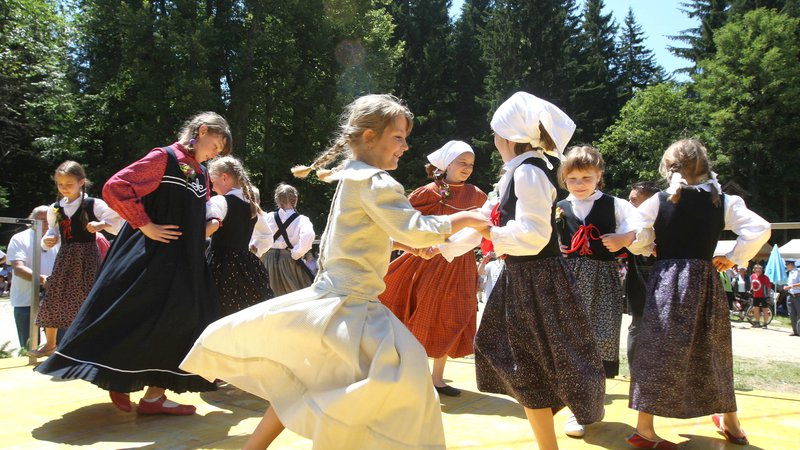 Fotografija: Mladi plesalci pred najdebelejšim slovenskim drevesom. FOTO: Dokumentacija Dela