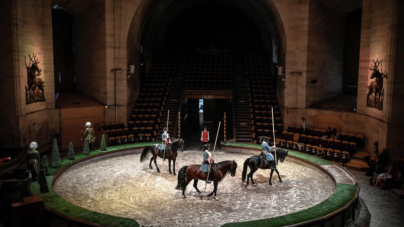 Fotografija: Vaje konjev pred začetkom šova v konjušnici v Chantillyju, severno od Pariza. FOTO: Stephane De Sakutin/AFP