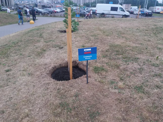 Prireditelji so tudi Sloveniji v čast posadili drevo. FOTO S. U.