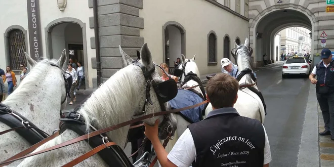 Na Dunaju je bilo bolj naporno kot na poti. FOTO: Družina Matern