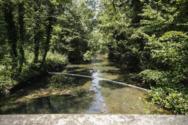 Rižana tik ob izviru, kjer so namestili plavajoče ovire za zajezitev goriva, če bi priplavalo na površje.&nbsp; Foto Uroš Hočevar