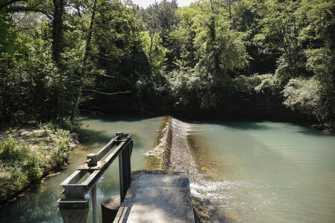 Ob izviru reke Rižane še niso ugotovili onesnaženja, a so ga iz vodooskrbe preventivno izključili. Foto Uroš Hočevar