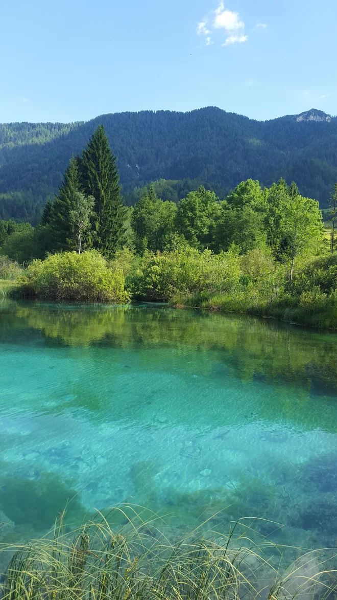 ▶ Obisk naravnega rezervata Zelenci je eno izmed treh zelenih doživetij v Kranjski Gori. Preostali sta še kolesarjenje od Mojstrane do Rateč in Pot Triglavske Bistrice v dolini Vrata. Foto Borut Tavčar